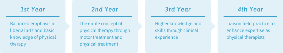Four-year Curriculum (Department of Physical Therapy)