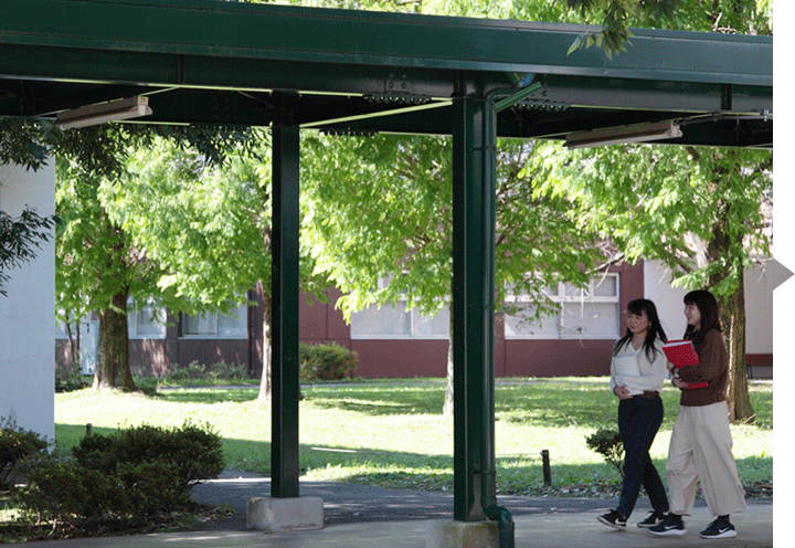学部・学科 FACULTY