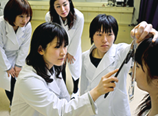実習の様子