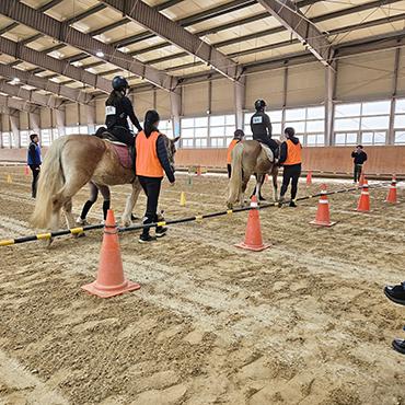 20260324_pt_horse_3